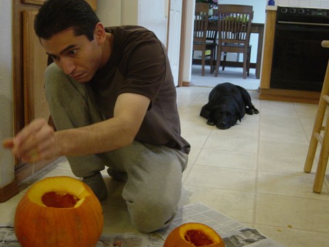 Fox carving his pumpkin