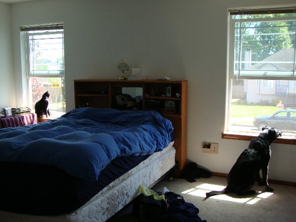 Mikey and Cosmo each looking through windows