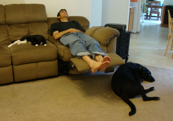 Fox, Mikey, and Cosmo all sleeping