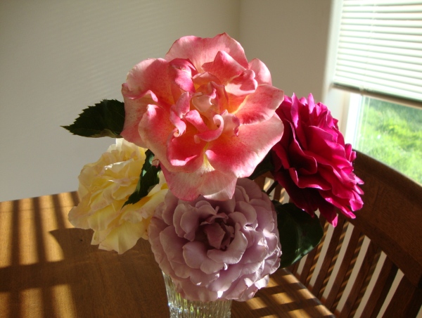 Roses in vase