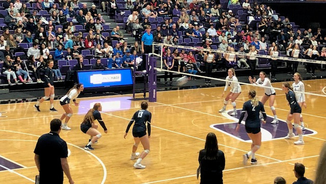 BYU's volleyball game