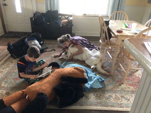 Kids and animals relaxing