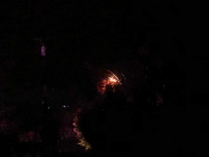 Tree branch crackling with electricity