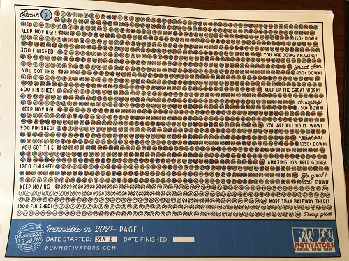 Tracker showing 1352 kms complete