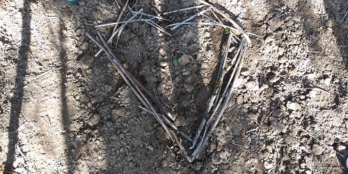 Twigs forming a heart shape on the dirt
