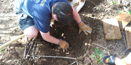 Digging