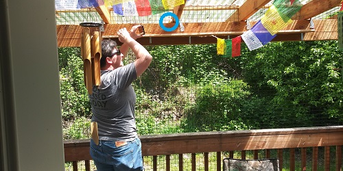 Using phone to look at high shelf