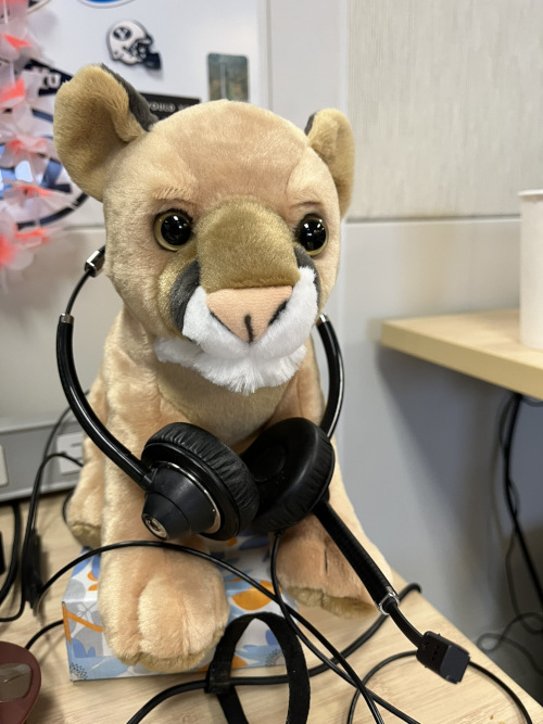 Plush cougar with a headset